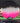Elevation Discs Elevation Mini Koi Black/Pink/White 74.4g