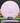 Innova Aviar XT Plum/Silver 169.8g