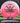 Innova Destroyer Eveliina  Pink White/Black/Gold 174.7g