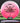 Innova Destroyer Eveliina Pink/White/Gold/Black 175.4g
