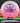 Innova Destroyer Eveliina Pink/White/Purple/Multi Color 175.1g