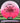 Innova Destroyer Eveliina Pink/White/Red/Black 175.5g