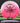 Innova Destroyer Eveliina Pink/White/Red/Black 175.6g