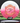 Innova Destroyer pink & white/red & gold 175.9g
