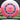 Innova Eagle Pink/White/Gold/Blue 173.1g
