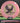 Innova Eagle Proto Glow Champion Pink/Lime-Black 173.7g
