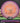 Innova Fox Pro Pink/Purple/Orange 181.1g