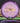 Innova Leopard Halo Star White/Purple/Gold 174.4g