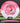 Innova Leopard Pink/White/Red/White 175.5g