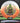 Innova Rat CryZtal Orange-White/Lime 167.6g