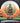 Innova Rat CryZtal Orange-White/Lime 168.0g