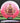 Innova Rat CryZtal Pink-White/Gold 166.9g