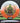Innova Rat Orange-White/Green 168.0g