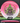 Innova Rat Pink-White/Black-Green 168.5g