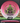 Innova Rat Pink-White/Olive 168g