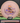 Innova Rat Pro Peach/Purple 175.6g