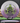 Innova Rat Purple-White/Olive 168g