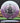 Innova Rat Purple-White/Silver Logos 167.3g