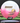 Innova Roadrunner Halo Star White-Pink/Black-Gold 175.8g