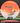 Innova Roadrunner orange & white/gold & black 175.1g
