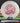 Innova Rollo Star White/Magenta 179.4g