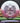 Innova Thunderbird White/Maroon/White/Black 173.3g