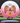 Innova Thunderbird White/Pink/Gold/Maroon 174.4g