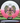 Innova Thunderbird White/Pink/Green/Black 172.8g
