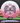 Innova Thunderbird White/Pink/White/Black 173.1g