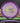 Innova Wraith Halo Star White-Purple/Olive 176g