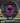 Kastaplast Impa Black/Magenta 174g