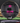 Kastaplast Impa Black/Magenta 175g