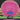 Latitude 64 Diamond Opto Pink/Blue 161g
