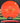 Latitude 64 Musket Gold Traffic Cone/Lime 174.4g