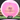 Latitude 64 Rive Opto Pink/White/Gold 174g
