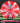 Meridian Discs Current ESP Red And White/Blue Sparkle 173.5g