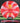 Meridian Discs Current ESP Red And White/Gold 174.1g