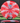 Meridian Discs Current red-white/blue sparkle 174g