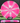Meridian Discs Mojave Pink-White/Silver 174g