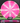 Meridian Discs Mojave Z Line Pink/White/Silver 174g