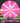 Meridian Discs Mojave Z Line Pink/White/Silver 174g