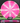Meridian Discs Mojave Z Line Pink/White/Silver 174g