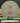 Mint Discs Lasso Nocturnal Glow/Orange 175g