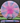 Mint Discs Lobster Swirly Apex Pink & Lilac/Magenta Shatter "Mighty Mouse" 175g