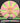 Mint Discs Lobster Swirly Apex pink/yellow/red/yellow 176.1g