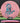 Mint Discs Salamander Sublime Rose/Aqua 176.2g