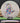 Mint Discs Salamander Sublime White/Jellybean 176.2g