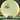 Mint Discs Nocturnal Diamondback