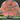 Mint Discs Apex Swirl Jackalope