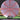 Mint Discs Apex Swirl Longhorn